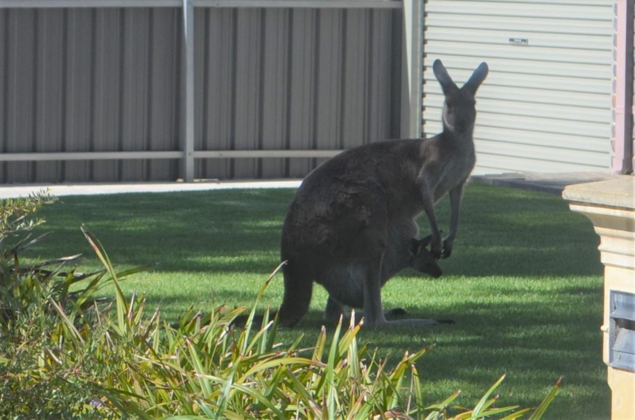 Aldinga Beach The Lamb Shack酒店 外观 照片