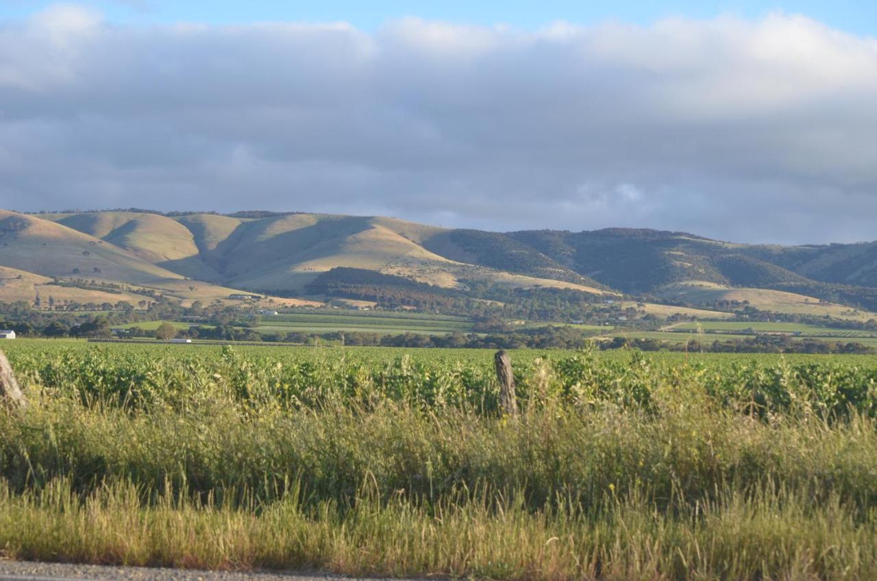 Aldinga Beach The Lamb Shack酒店 外观 照片